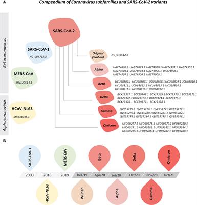 Surveillance of SARS-CoV-2 immunogenicity: loss of immunodominant HLA-A*02-restricted epitopes that activate CD8+ T cells
